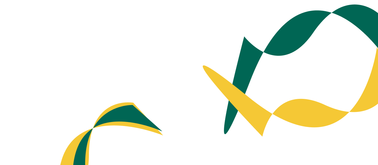 Expert Solutions for Corporate  Financial Success. - 虎扑体育直播APP
